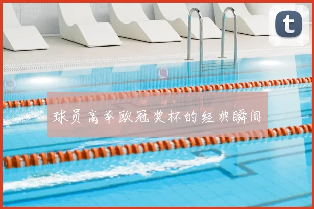 球员高举欧冠奖杯的经典瞬间